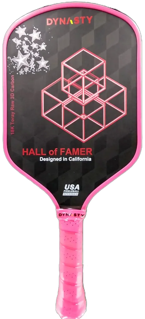 Dynasty Pickleball Hall of Famer Review | Matt's Pickleball